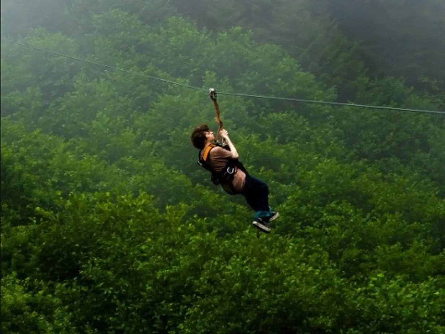 Zipline nad zielonymi koronami drzew to jedna z najciekawszych atrakcji w regionie Chiang